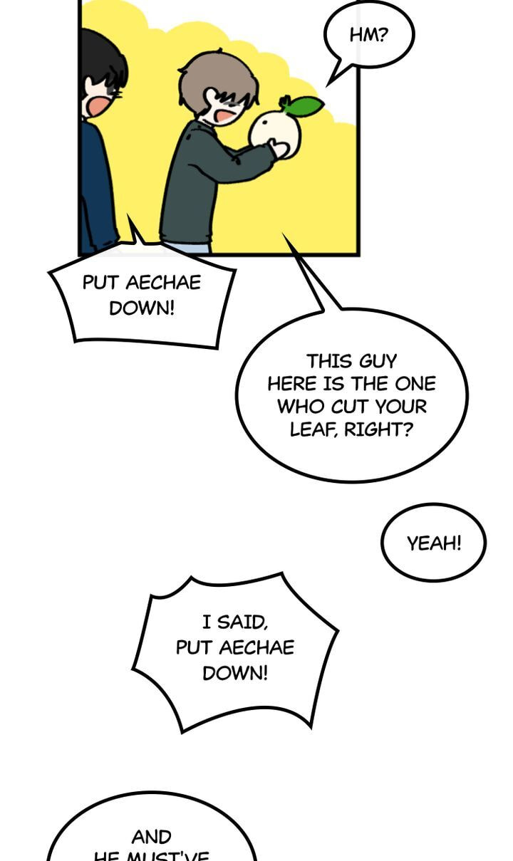 Read A Vegetarian