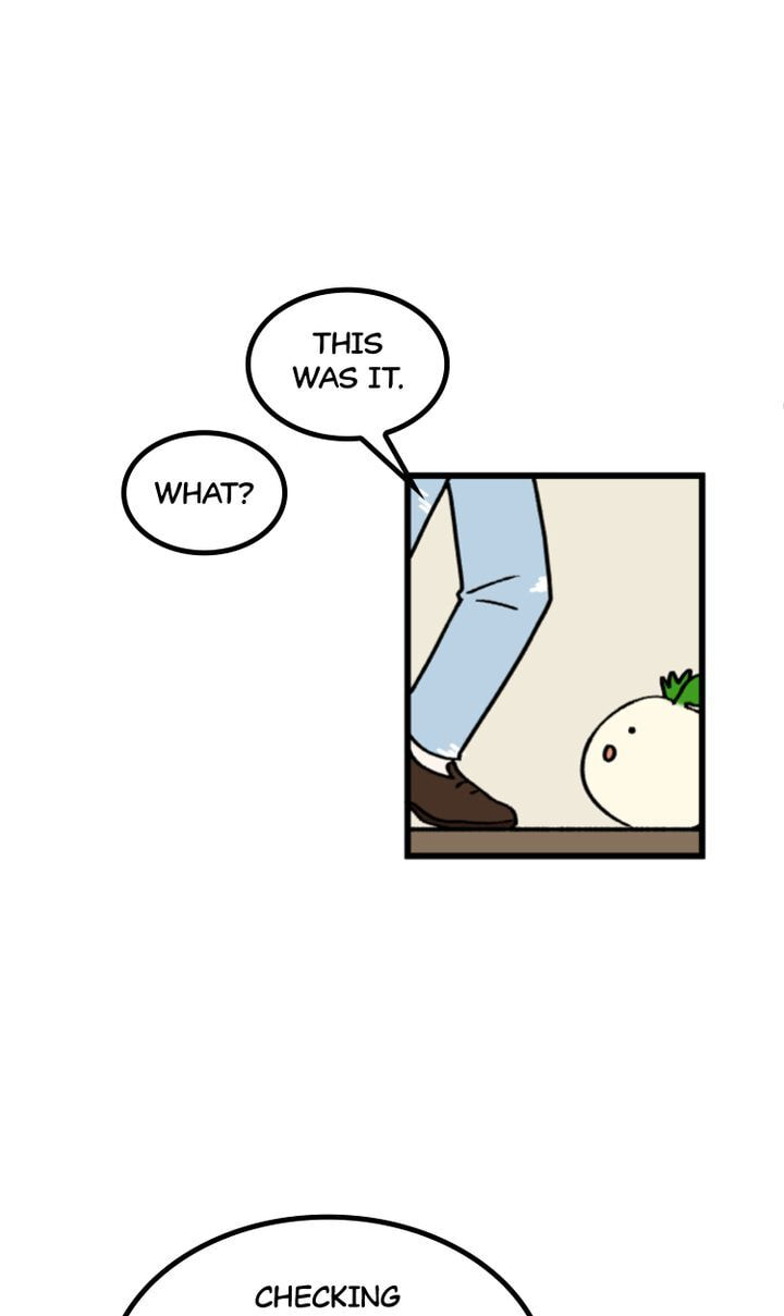 Read A Vegetarian