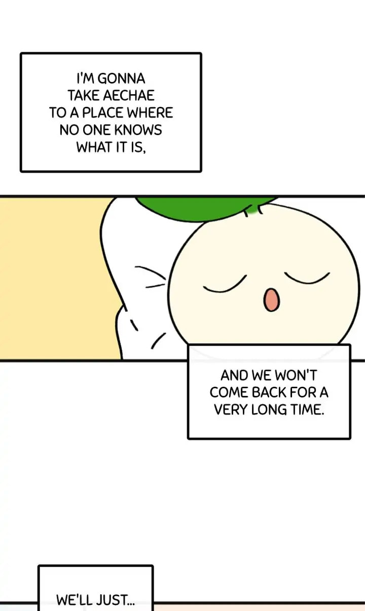 Read A Vegetarian