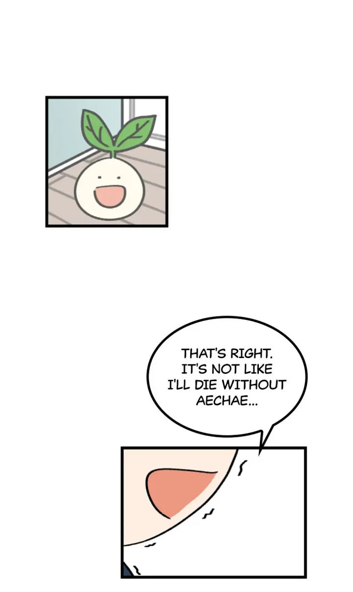Read A Vegetarian