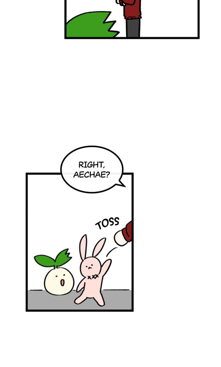Read A Vegetarian