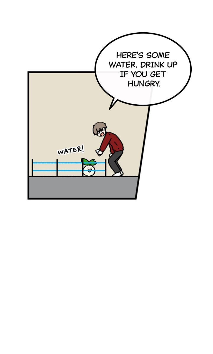 Read A Vegetarian