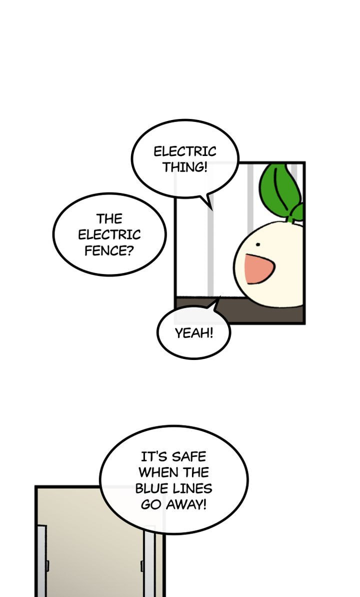 Read A Vegetarian