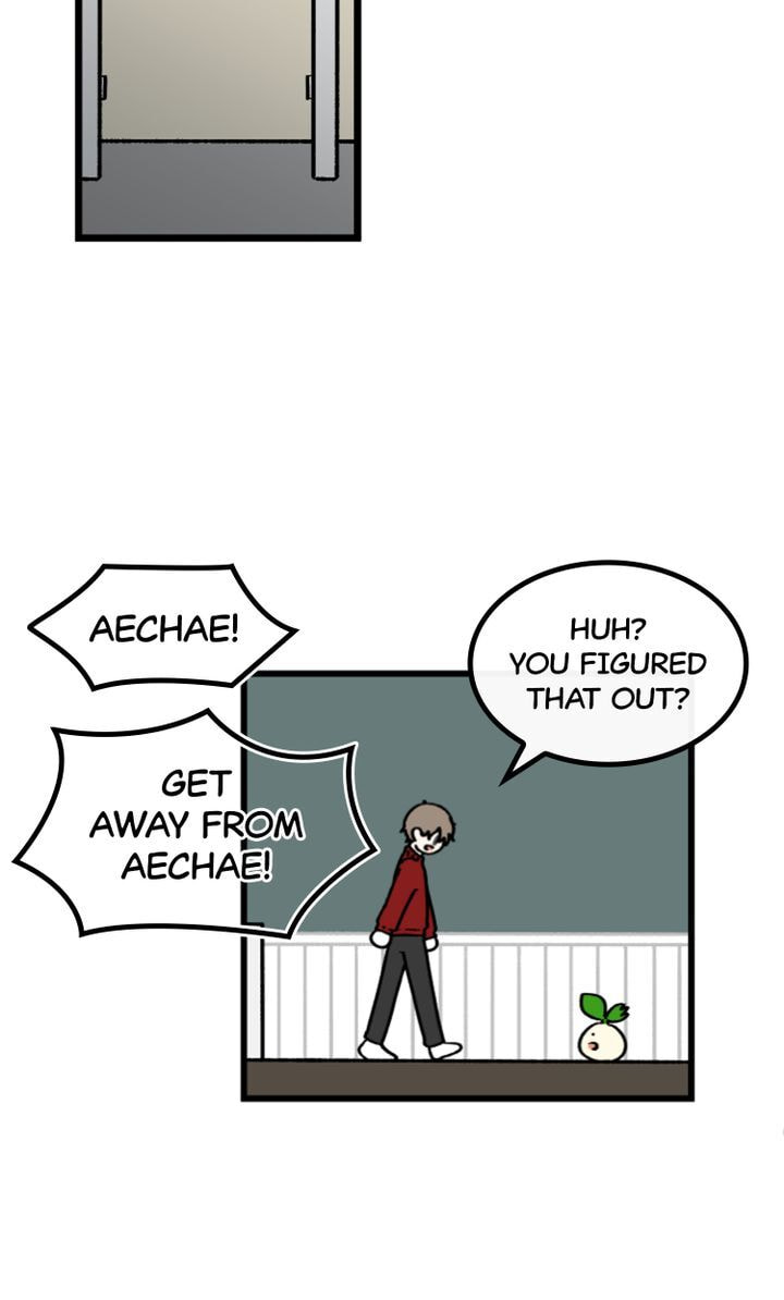 Read A Vegetarian