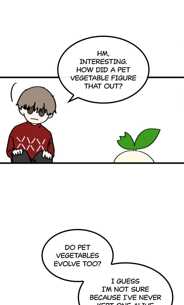 Read A Vegetarian