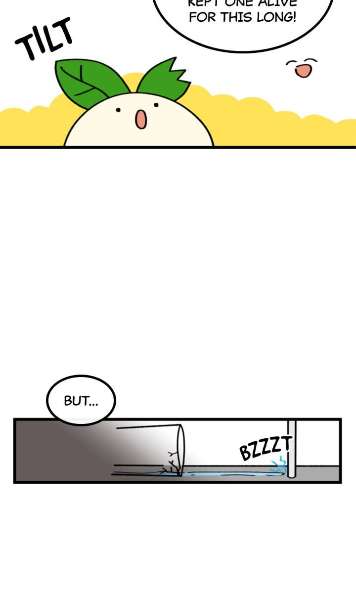 Read A Vegetarian