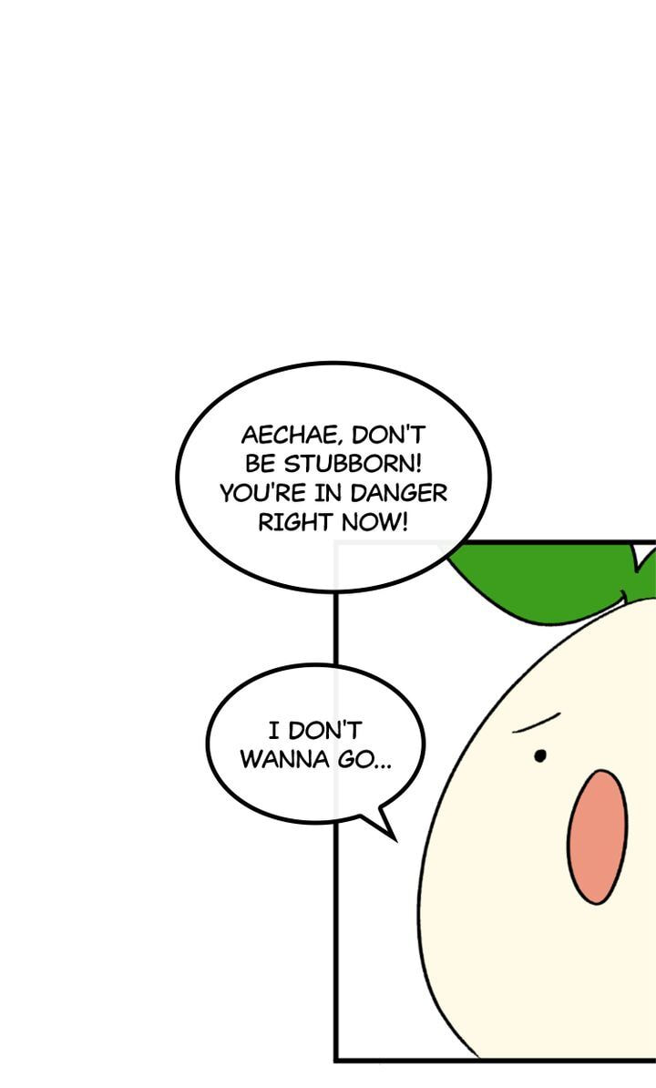 Read A Vegetarian