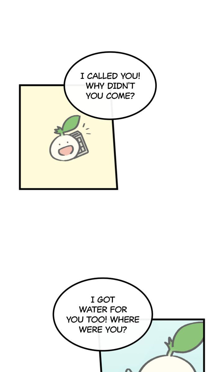 Read A Vegetarian