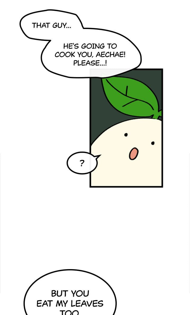 Read A Vegetarian