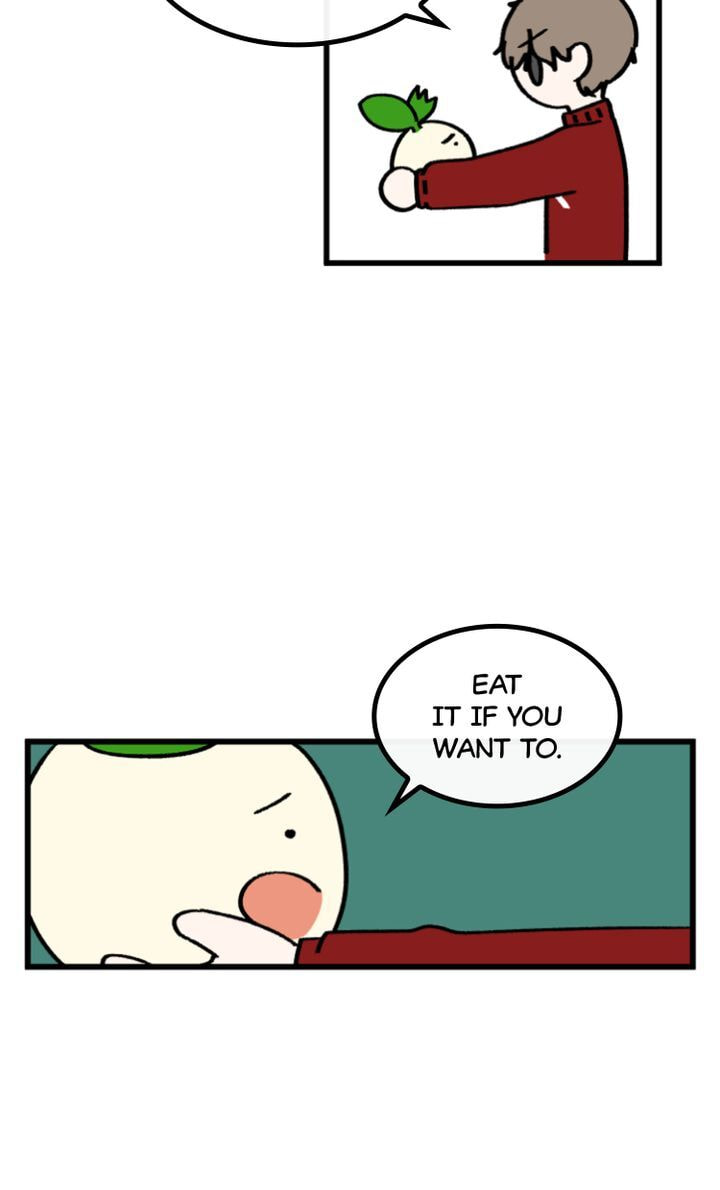 Read A Vegetarian