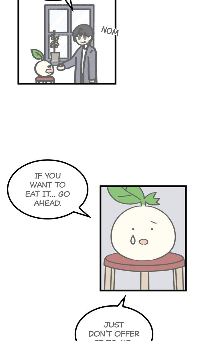 Read A Vegetarian