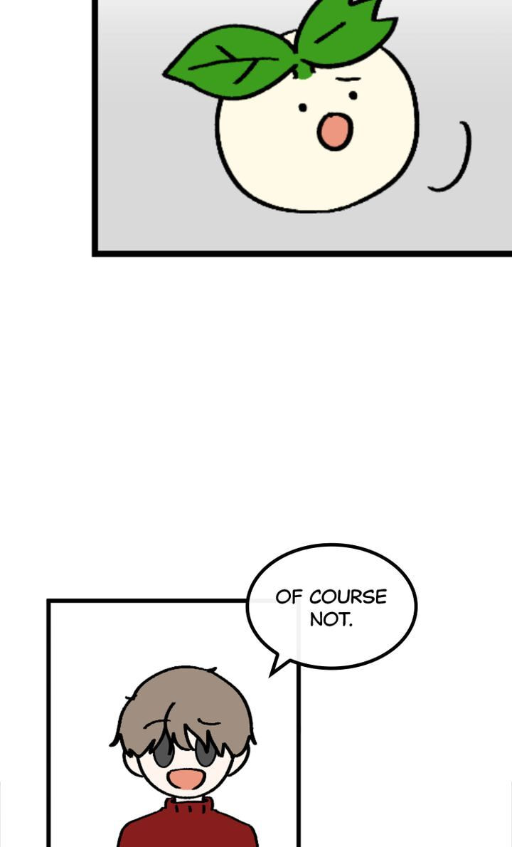 Read A Vegetarian