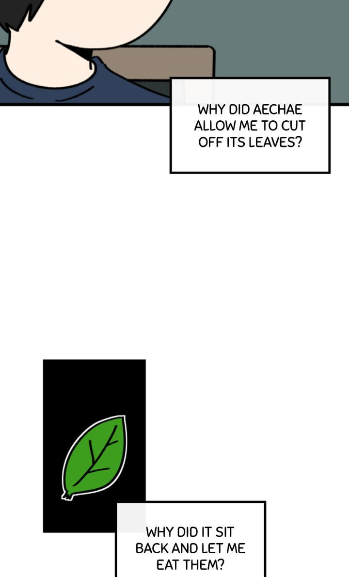 Read A Vegetarian