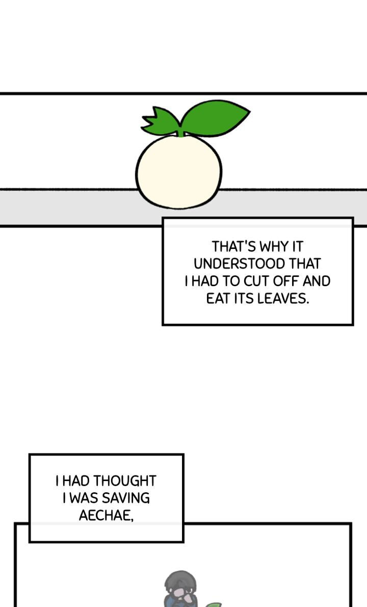 Read A Vegetarian
