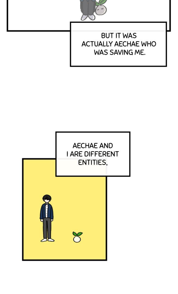 Read A Vegetarian