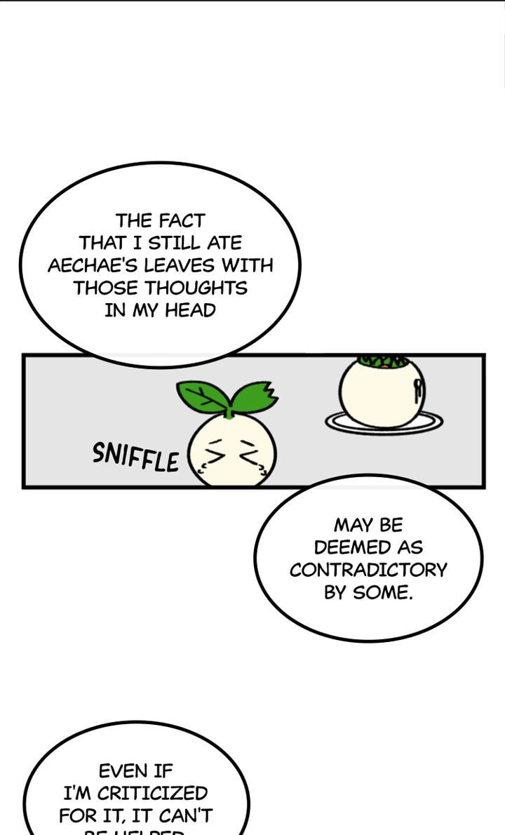 Read A Vegetarian