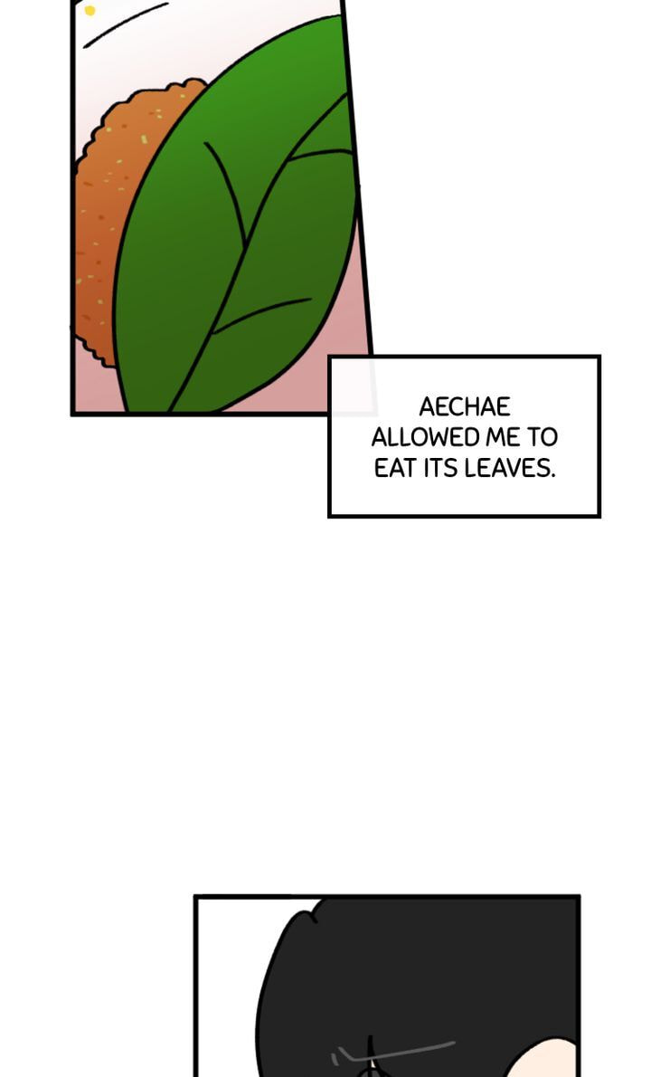 Read A Vegetarian