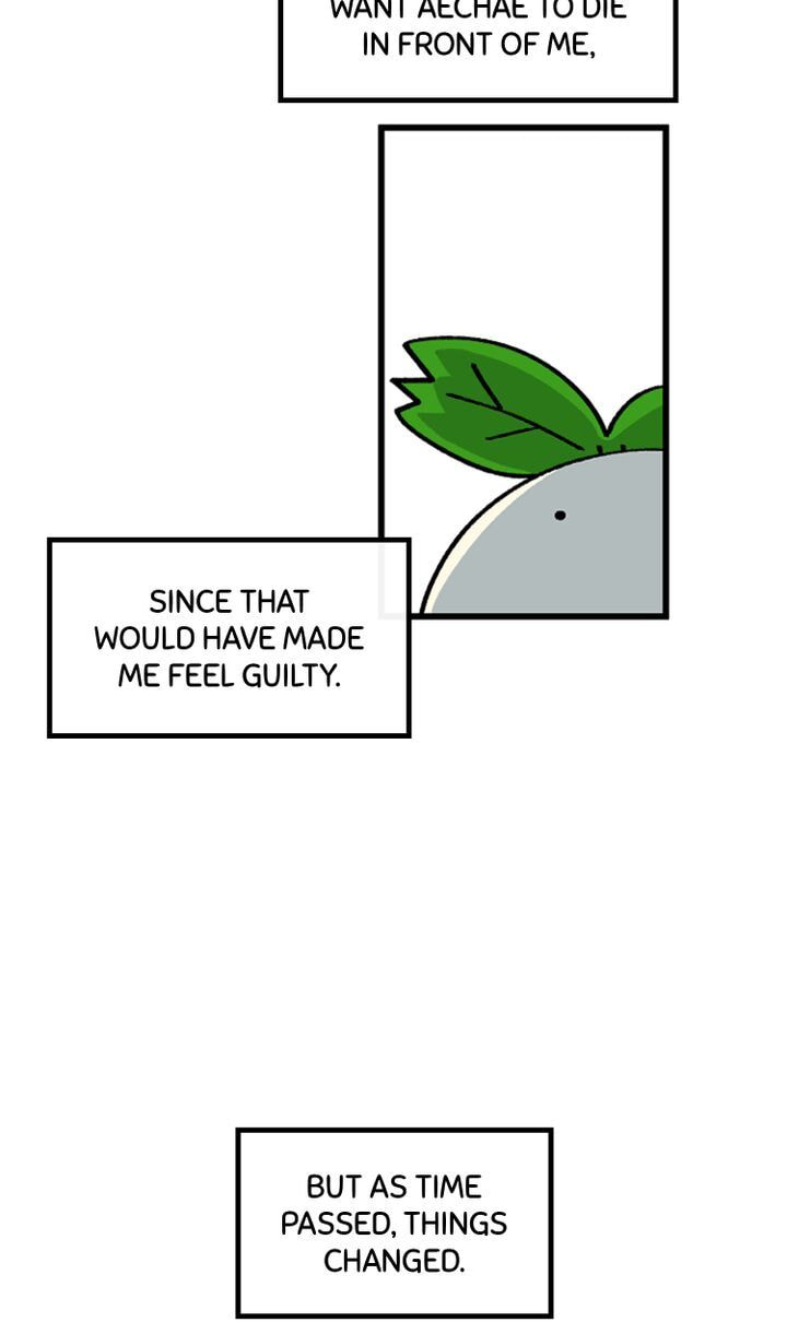 Read A Vegetarian