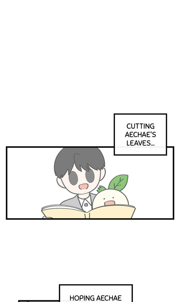 Read A Vegetarian