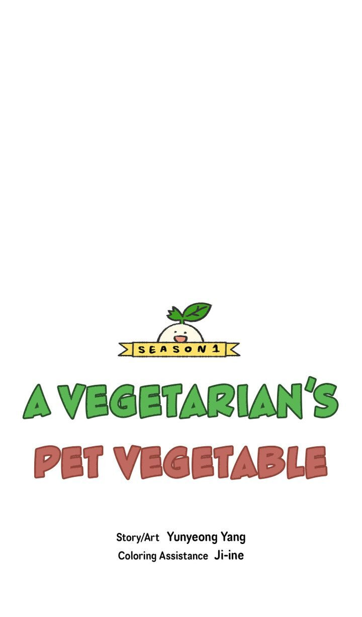 Read A Vegetarian