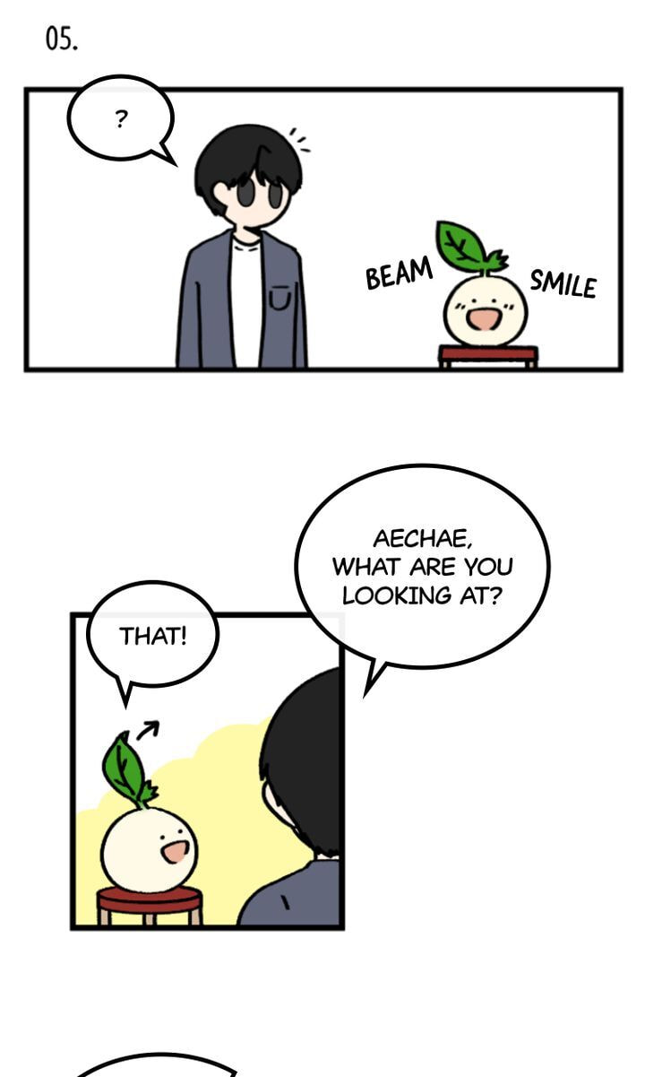 Read A Vegetarian