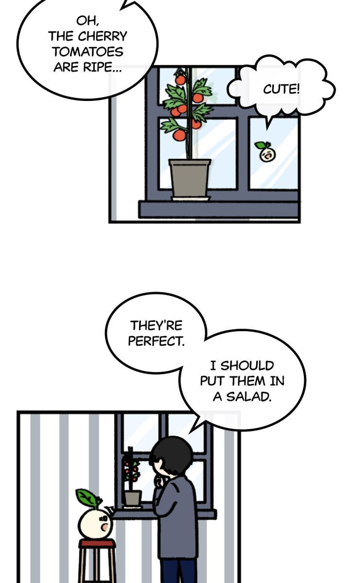 Read A Vegetarian