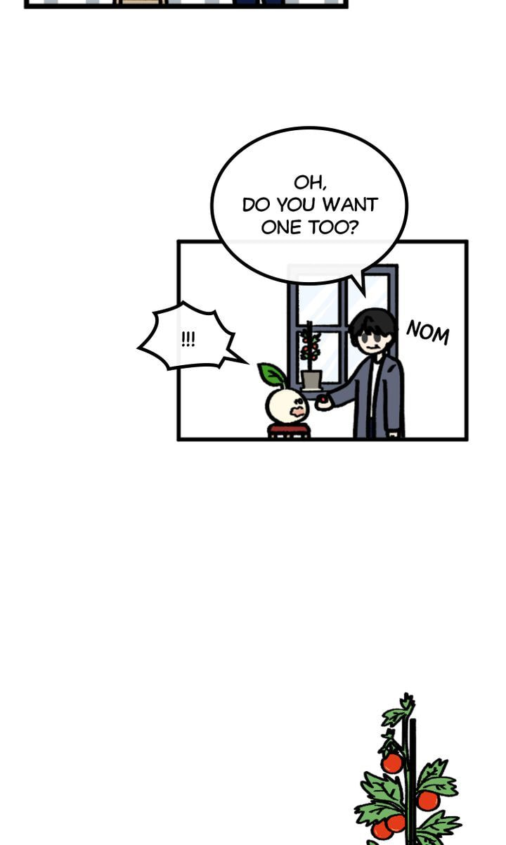 Read A Vegetarian