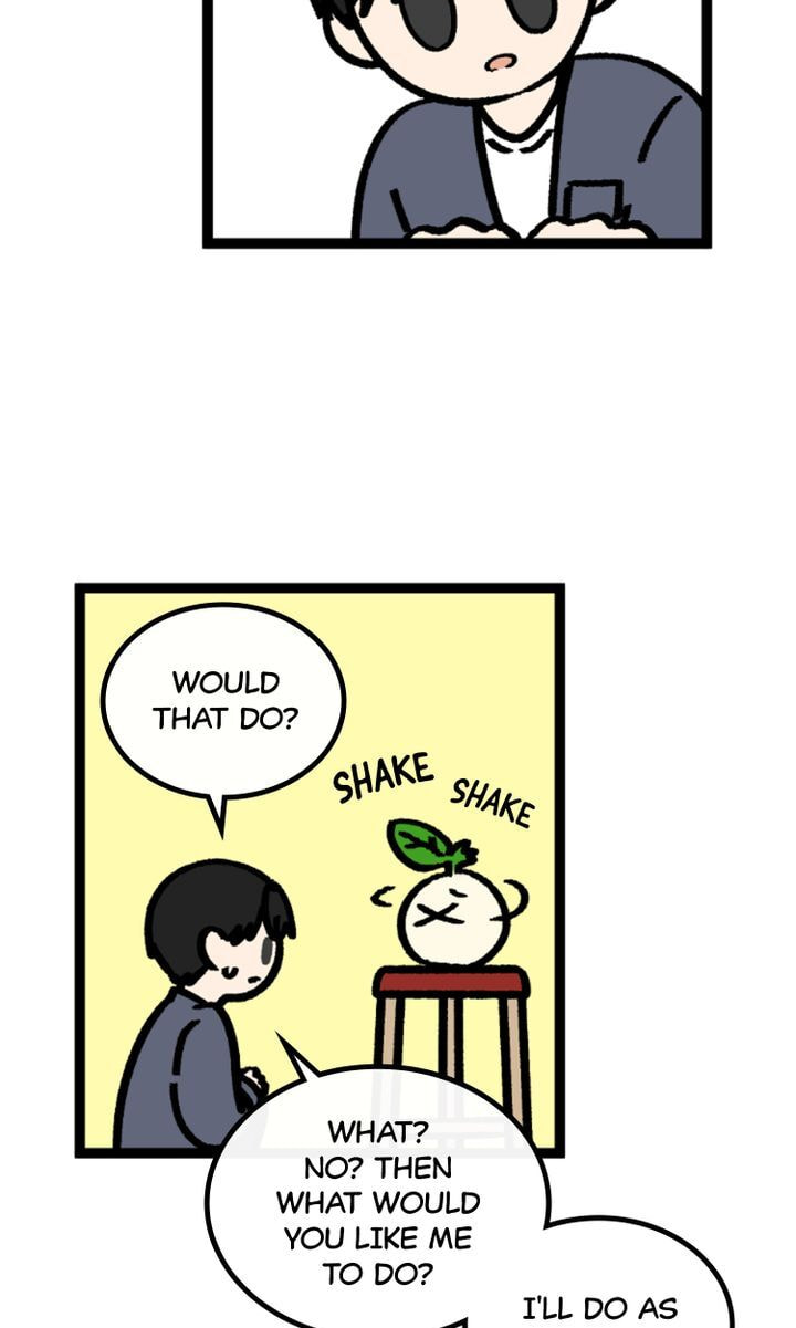 Read A Vegetarian