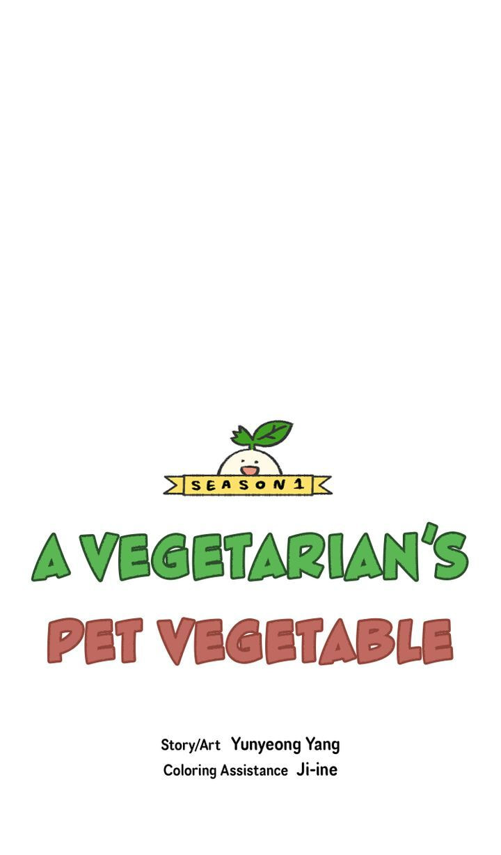 Read A Vegetarian