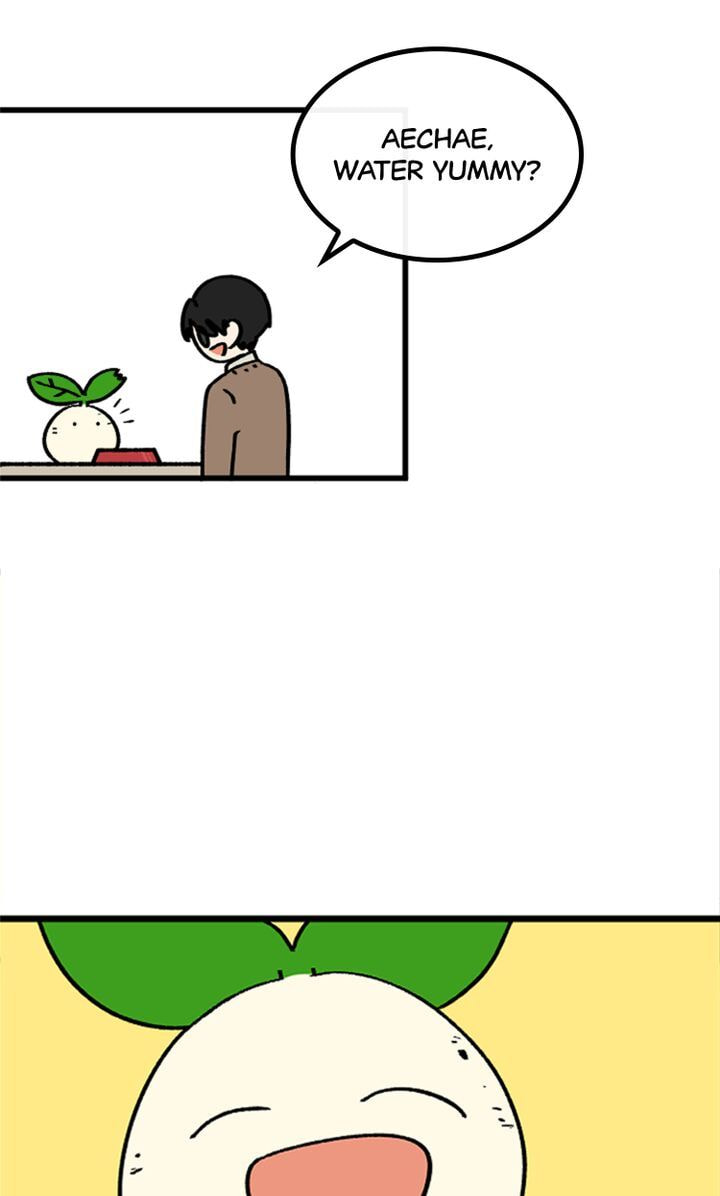 Read A Vegetarian