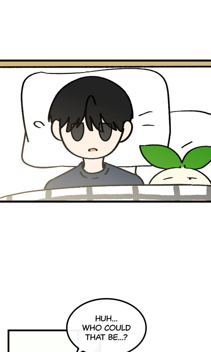 Read A Vegetarian