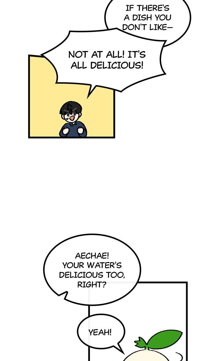 Read A Vegetarian