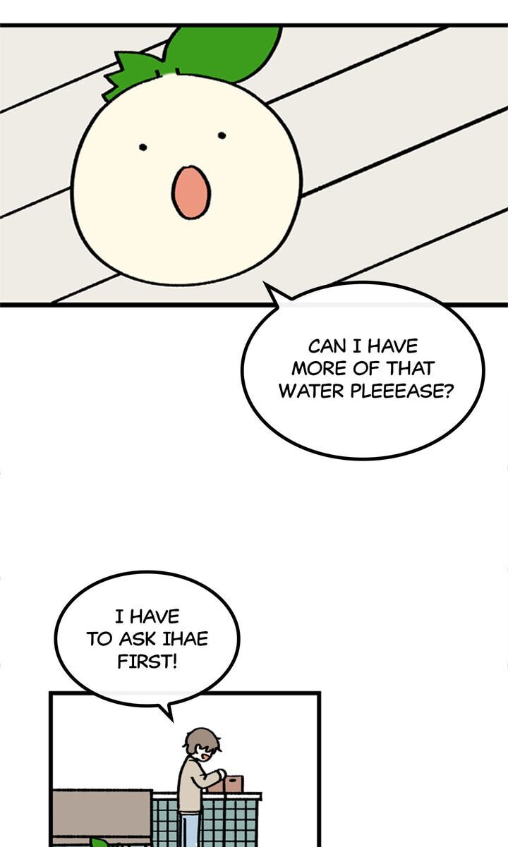Read A Vegetarian