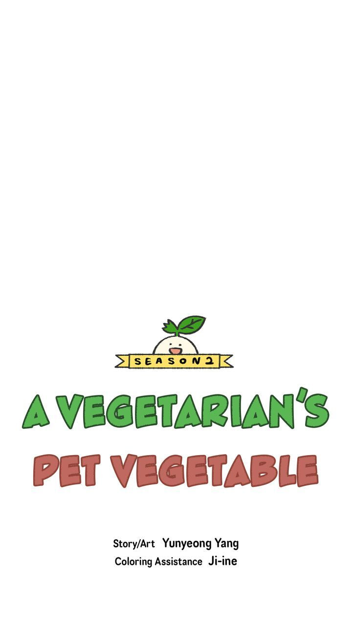 Read A Vegetarian