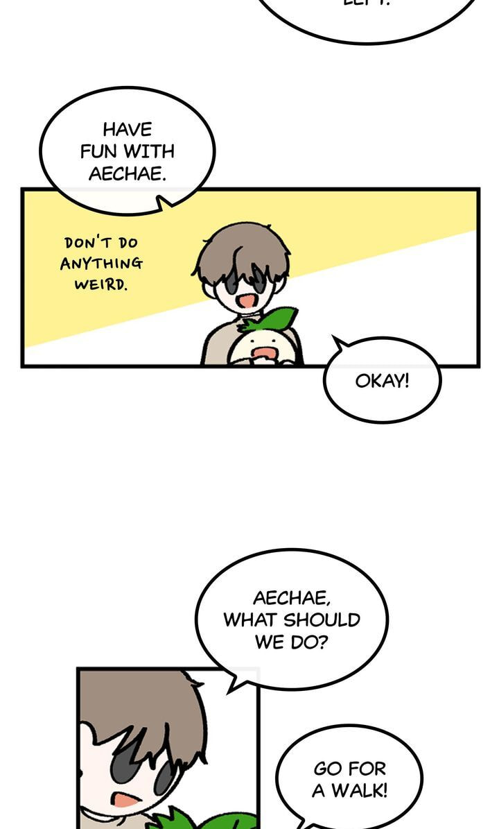 Read A Vegetarian