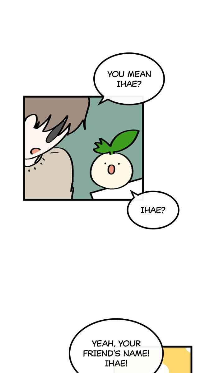 Read A Vegetarian