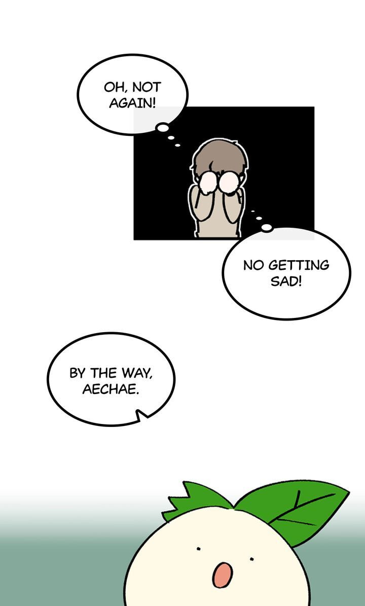 Read A Vegetarian