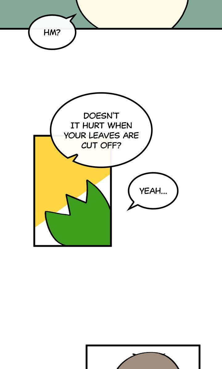 Read A Vegetarian