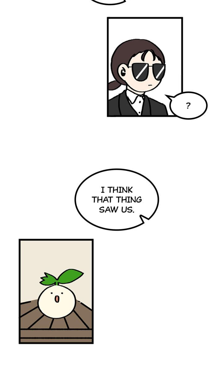 Read A Vegetarian