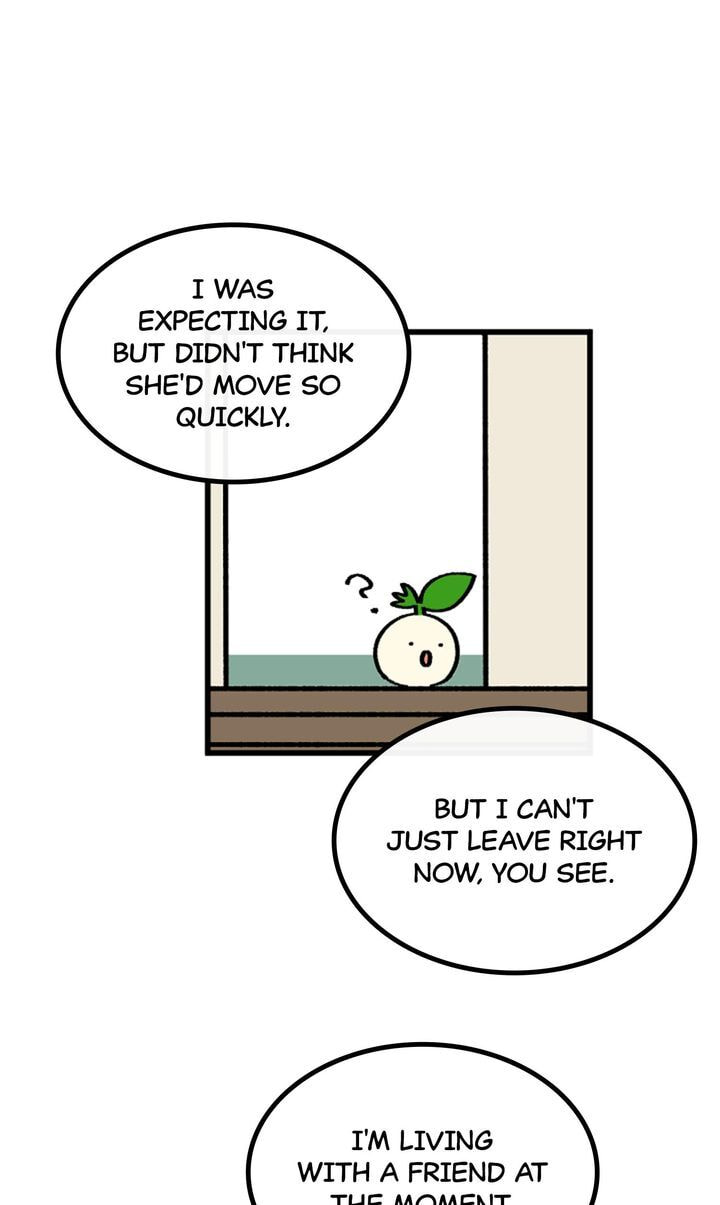 Read A Vegetarian