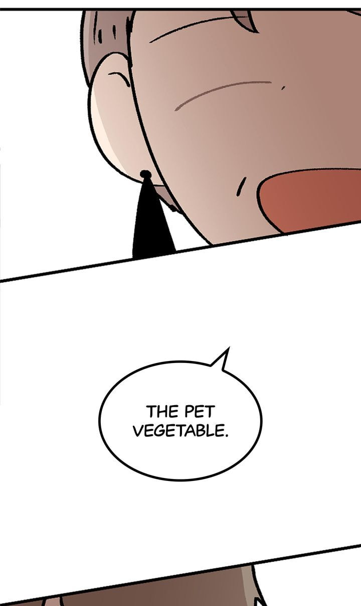Read A Vegetarian