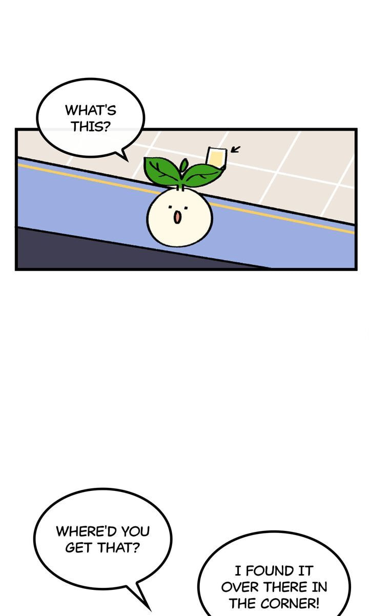 Read A Vegetarian