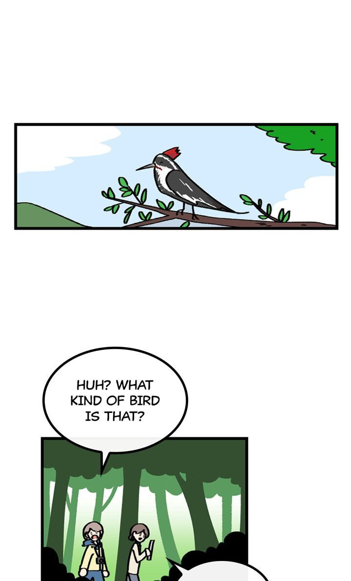Read A Vegetarian