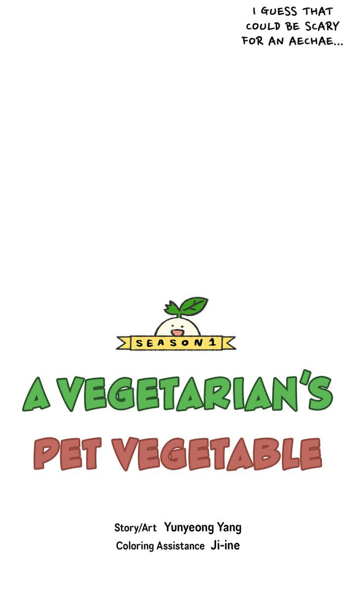 Read A Vegetarian