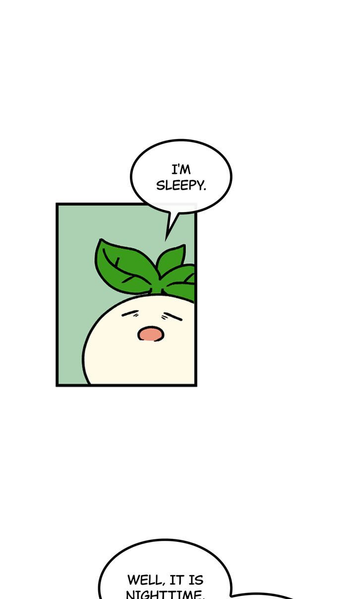 Read A Vegetarian