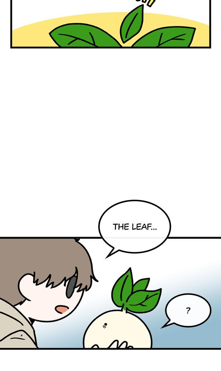 Read A Vegetarian