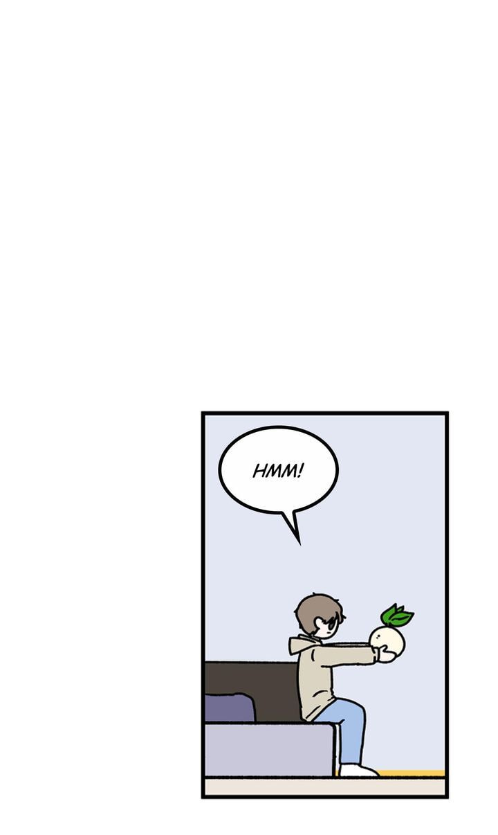 Read A Vegetarian
