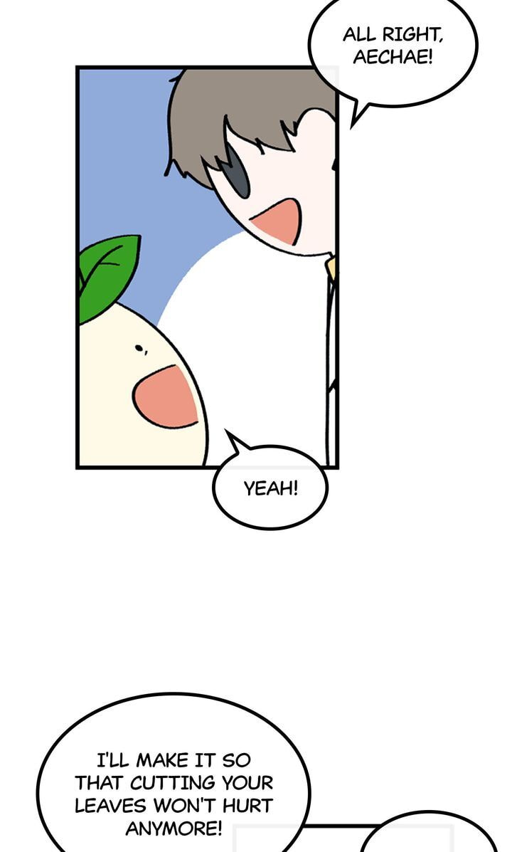 Read A Vegetarian