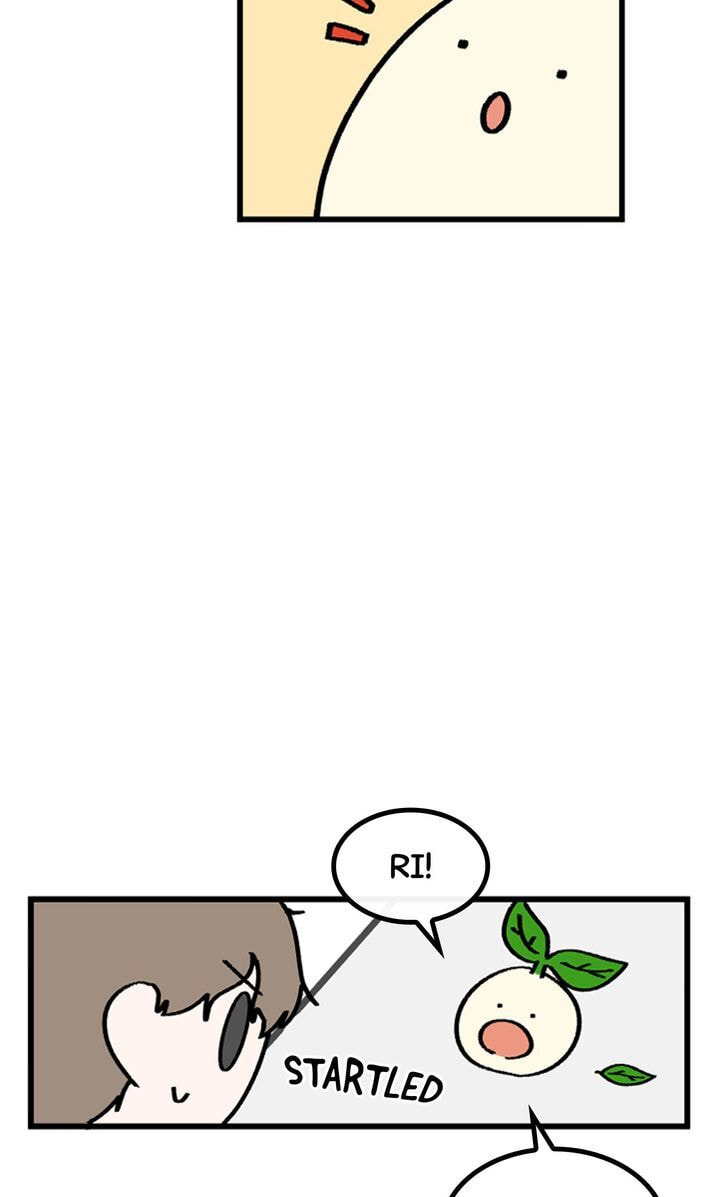 Read A Vegetarian