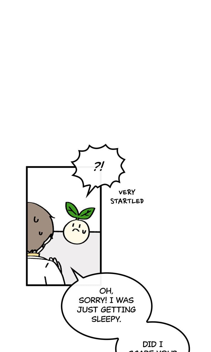 Read A Vegetarian